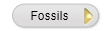  Fossils