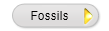  Fossils