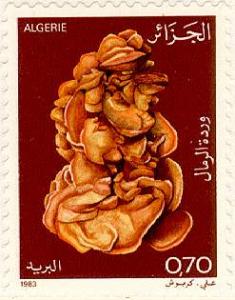 435alg83 435alg83
