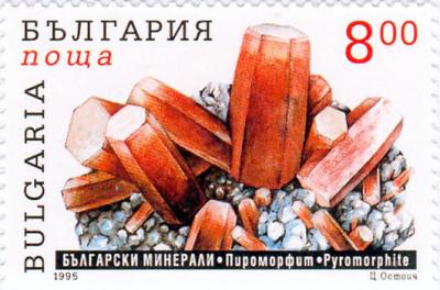 806bul95 806bul95
