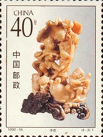 892cin92 892cin92