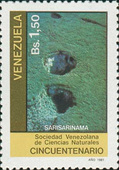1824VEN81.jpg 1824VEN81.jpg