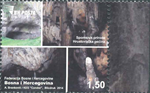 5080BOSH2014.jpg 5080BOSH2014.jpg