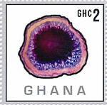 4461GHA13.jpg 4461GHA13.jpg