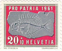 027hel61 027hel61