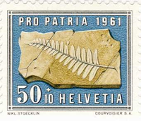 029hel61 029hel61