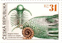 1478csk99 1478csk99