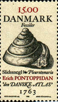 2081dnm98 2081dnm98