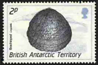2243bat90 2243bat90