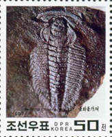 2260bkorn97 2260bkorn97