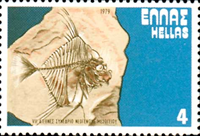 2261gre79 2261gre79