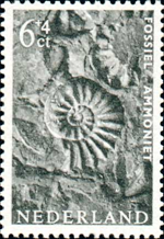 2264ned62 2264ned62