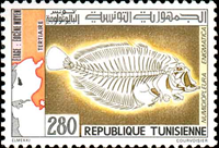 2281tun82 2281tun82