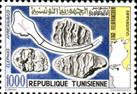2284tun82 2284tun82