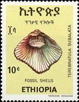 2286eth77 2286eth77