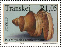 2293trk92 2293trk92