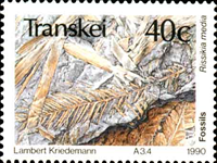 2296trk90 2296trk90
