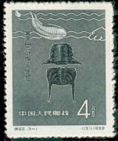 2310cin58 2310cin58