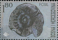 2323bos01 2323bos01