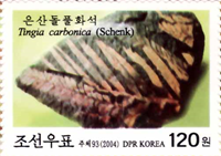 2341aKORN04.jpg 2341aKORN04.jpg