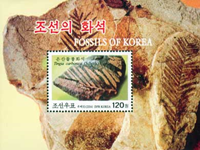 2341korn04 2341korn04
