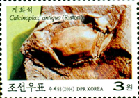 2342akorn04 2342akorn04