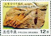 2342bkorn04 2342bkorn04
