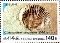 2342dkorn04 2342dkorn04