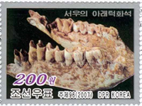 2343dkorn07 2343dkorn07
