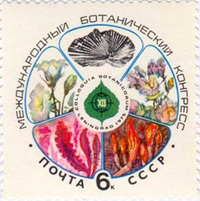 250rus76 250rus76