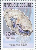 2957gui05 2957gui05