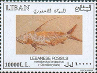 2960lib02 2960lib02