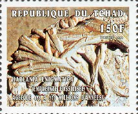 3648tcd98 3648tcd98