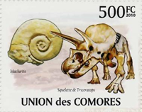 3960com10 3960com10