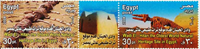 4658EGY08.jpg 4658EGY08.jpg