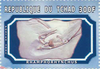 4717TCH01.jpg 4717TCH01.jpg