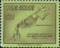 4853CUB58.jpg 4853CUB58.jpg