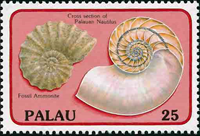 5413PLU88.jpg 5413PLU88.jpg