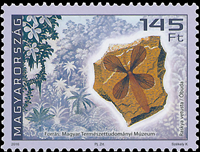 5476UNG16.jpg 5476UNG16.jpg