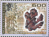 5477aUNG16.jpg 5477aUNG16.jpg