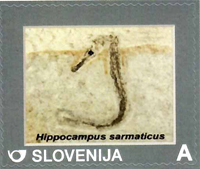 5488SLVE14.jpg 5488SLVE14.jpg