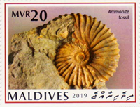 5982MLD19.jpg 5982MLD19.jpg