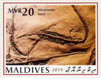 5983MLD19.jpg 5983MLD19.jpg