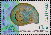 6124AUS20.jpg 6124AUS20.jpg