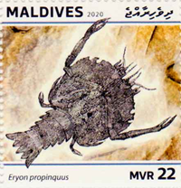 6280MLD20.jpg 6280MLD20.jpg