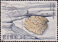 6288EIRE89.jpg 6288EIRE89.jpg