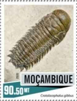 6400MOZ20.jpg 6400MOZ20.jpg