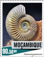 6401MOZ20.jpg 6401MOZ20.jpg