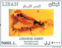 808lbn03 808lbn03