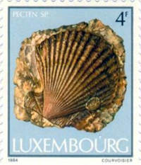 812lux84 812lux84